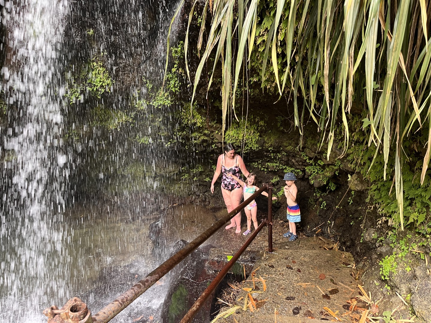 Annandale Falls travel moment 3